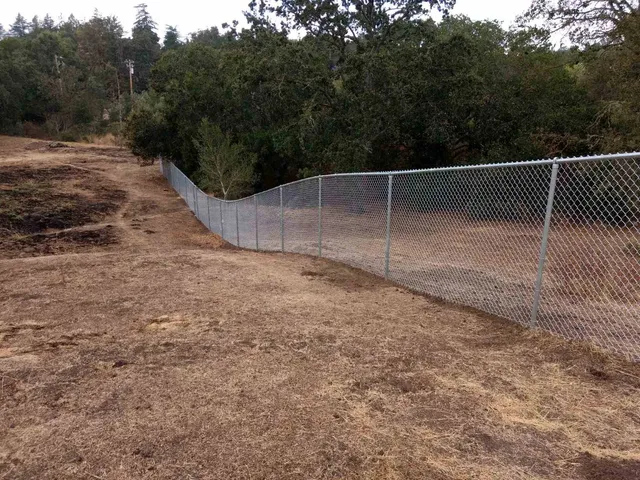 Chain link