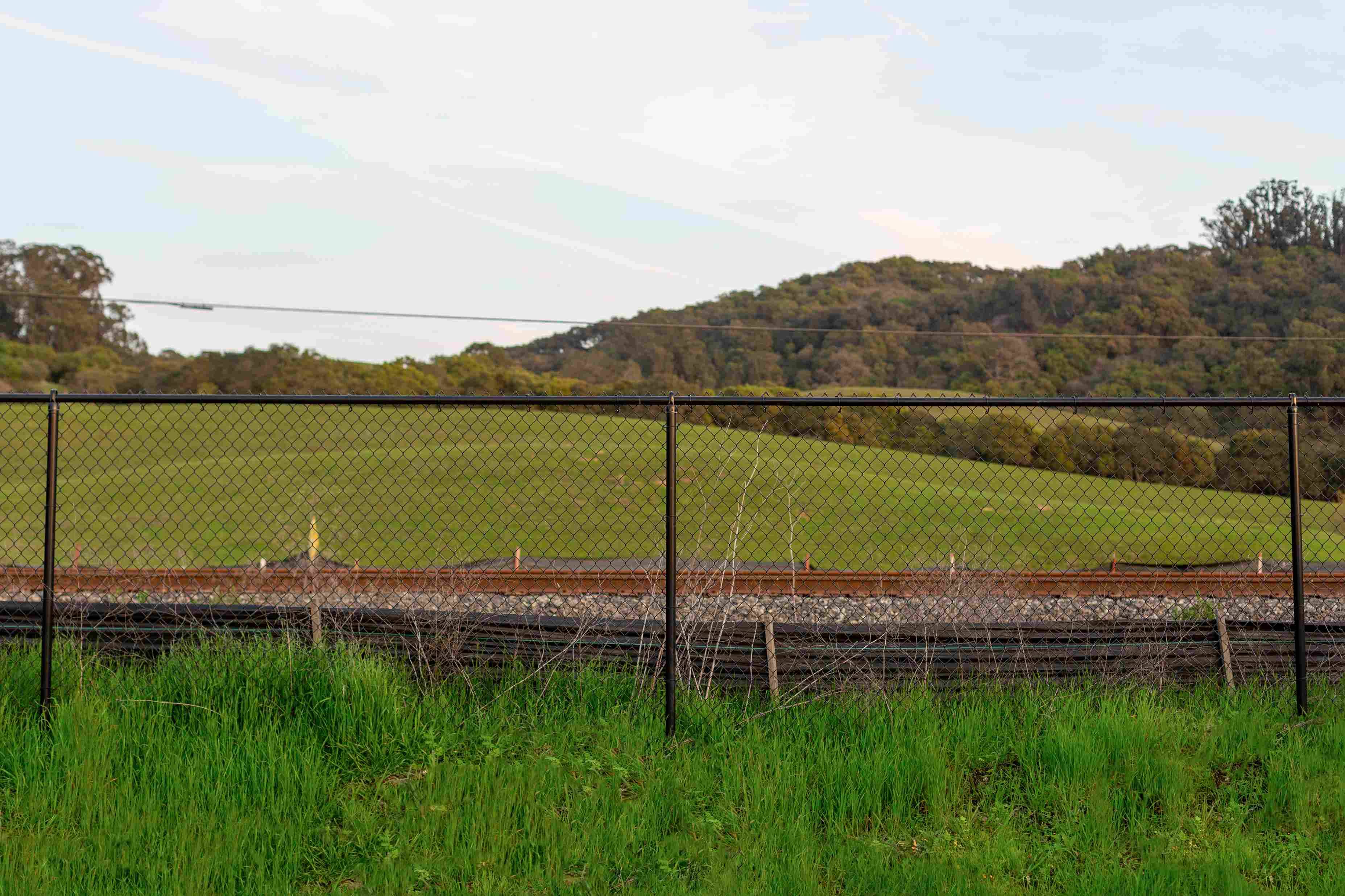 vinyl covered chain link