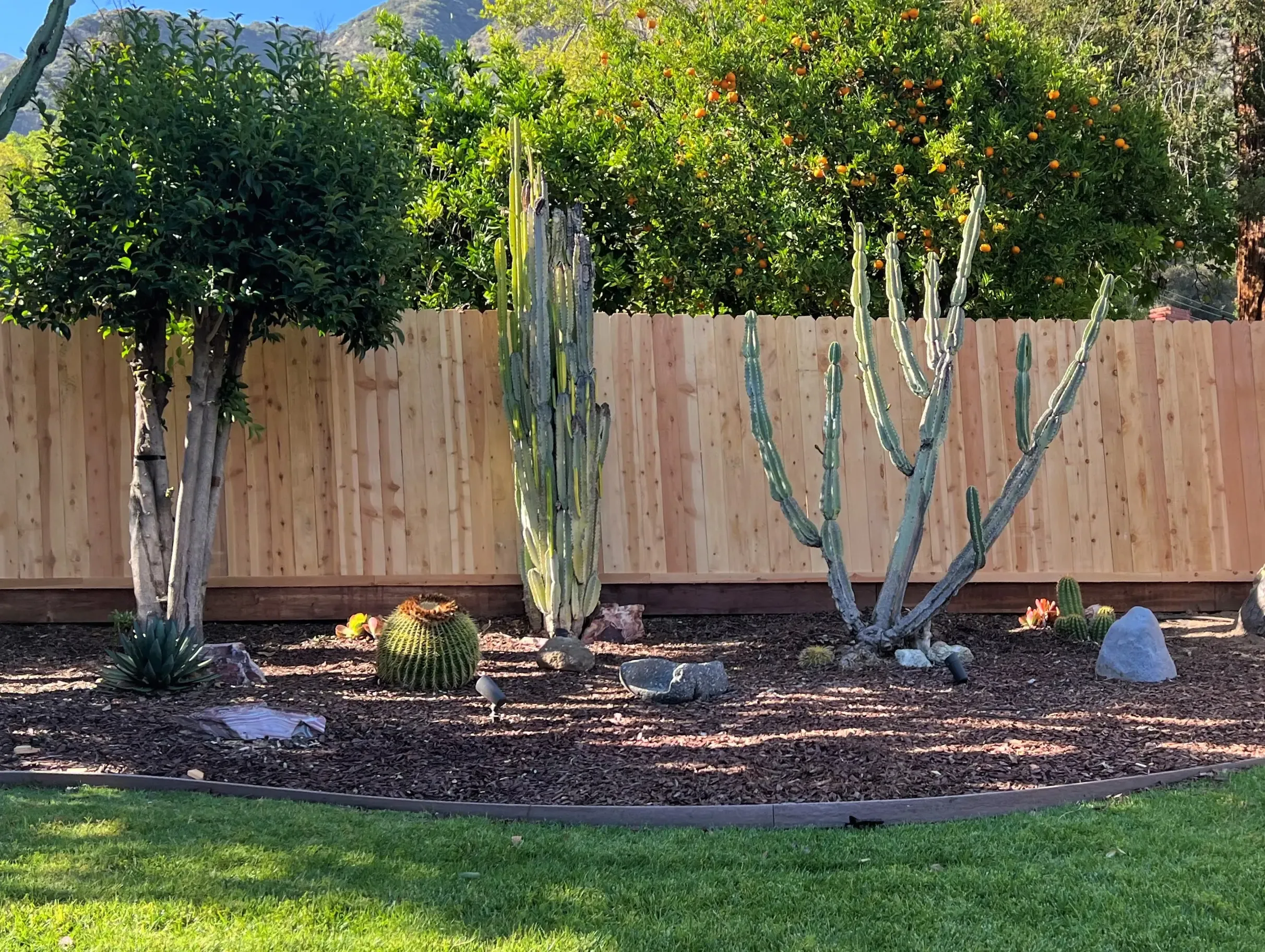 backyard residential fence