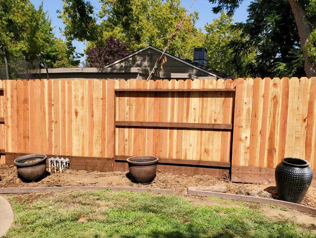 Backyard privacy fence