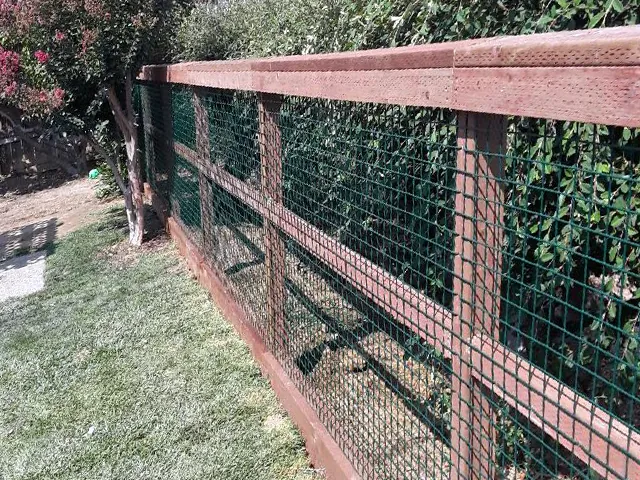 Hog wire fence